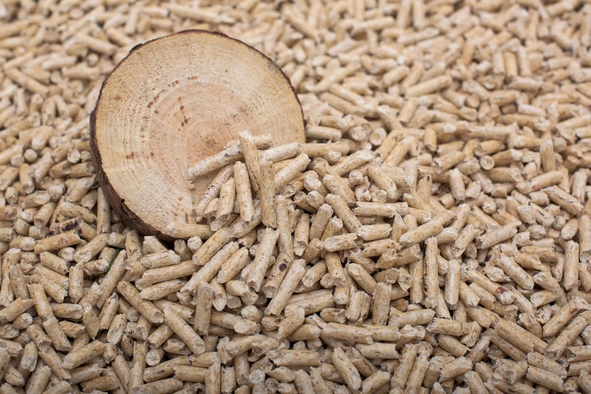 Pelletsheizungen - Pellets als Heizmittel