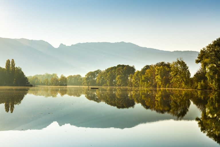 Les arbres se reflètent dans le lac