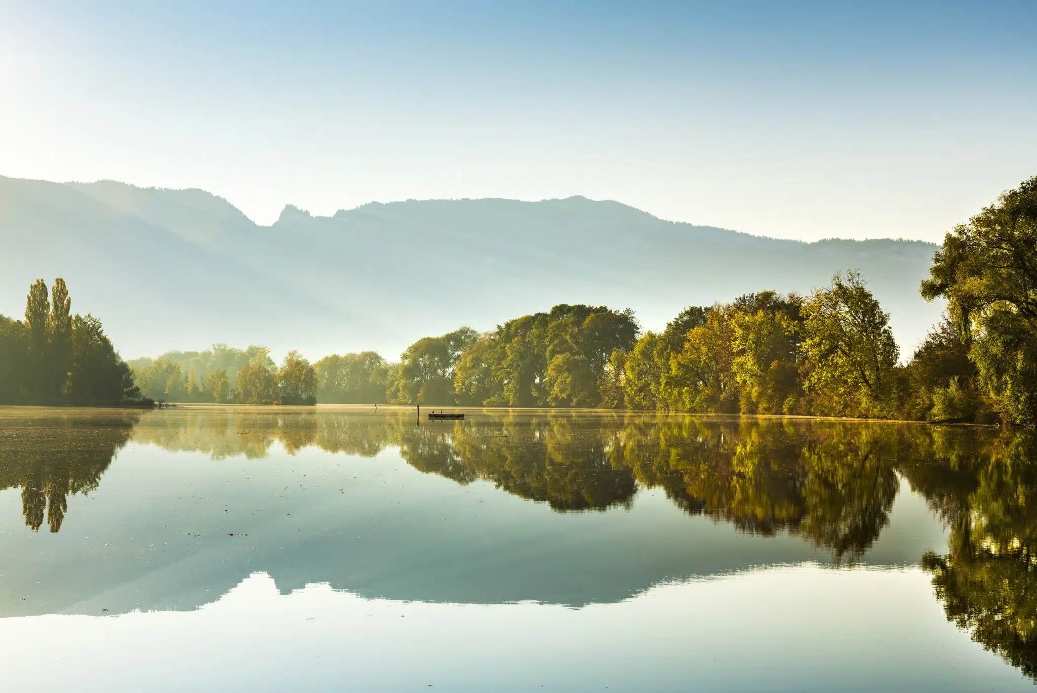 Bäume spiegeln sich in See