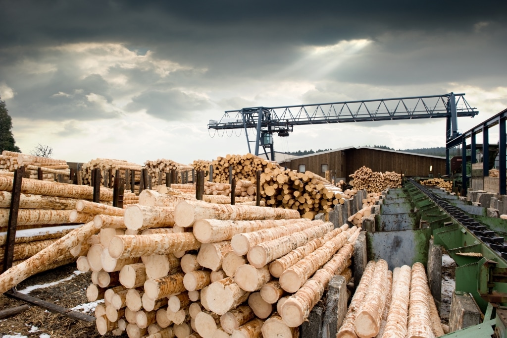 Wood processing company - Sawmill - Logs - Wood