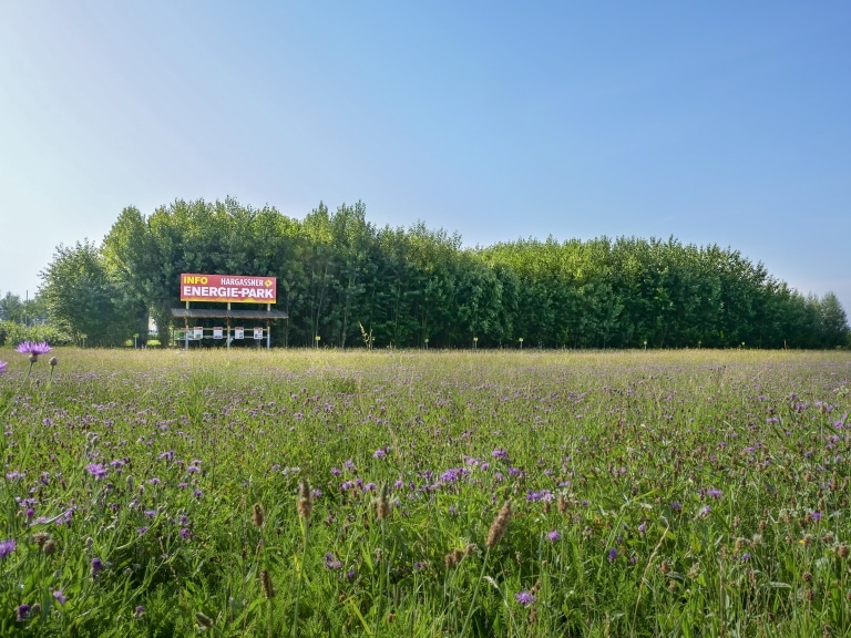 Hargassner Energie-Park
