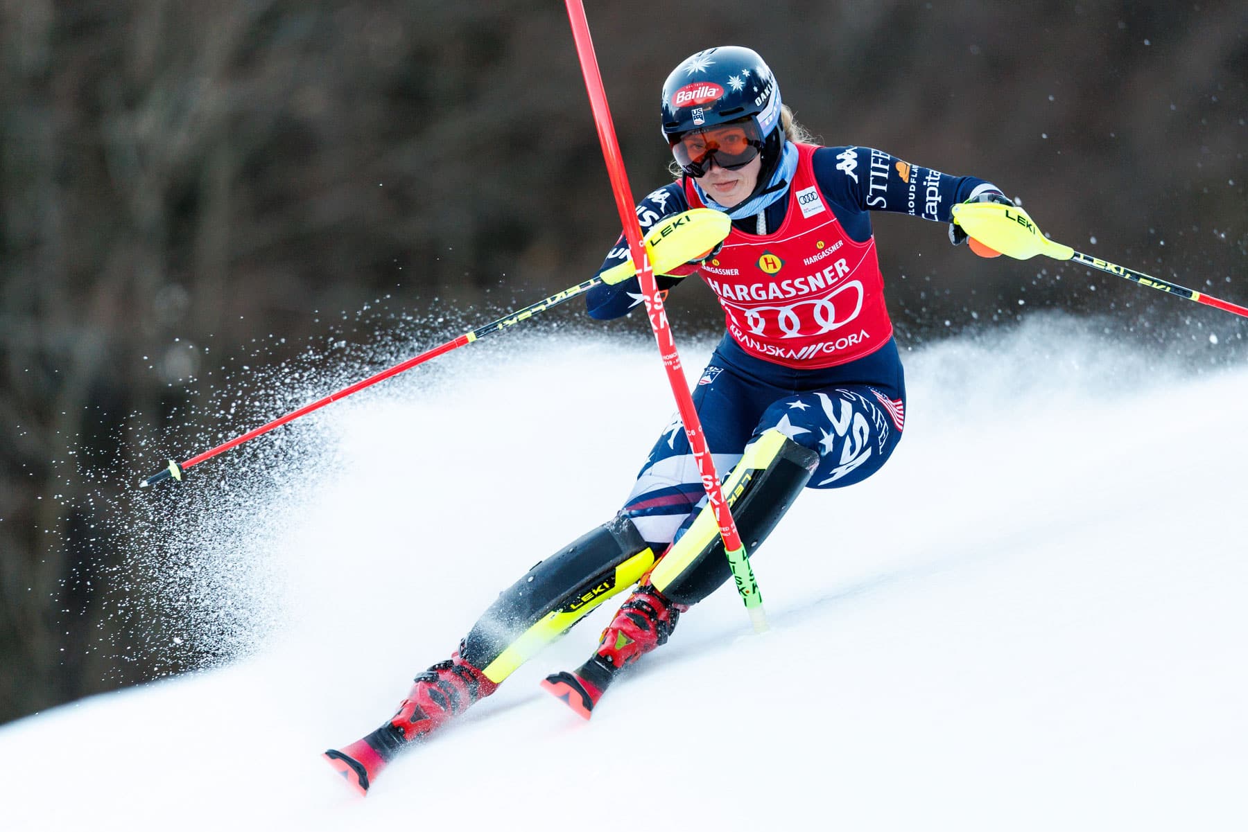 Hargassner Alpine Skiing Sponsorship