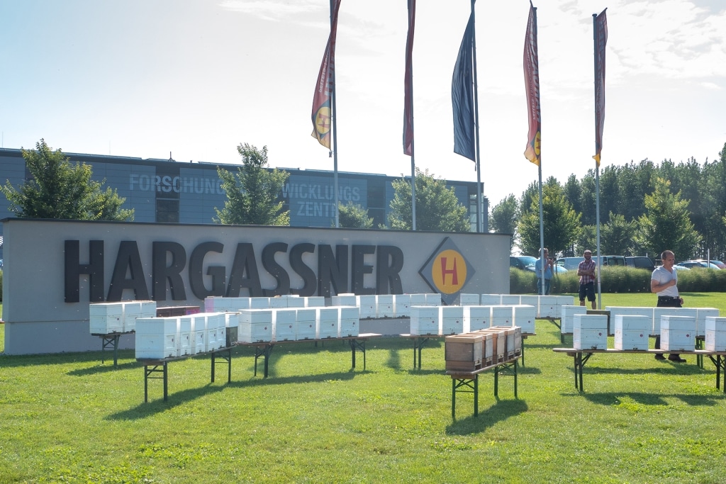 Des rangées de ruches devant le site de l'entreprise Hargassner