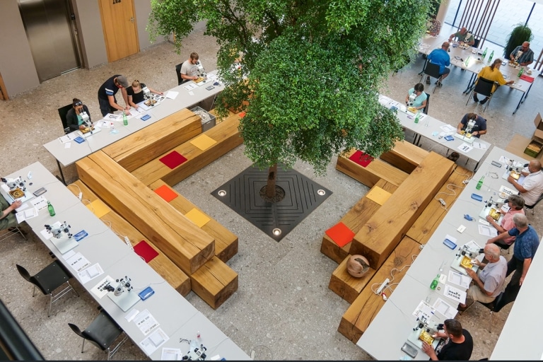 Bienensymposium in der Hargassner Energy World Weng