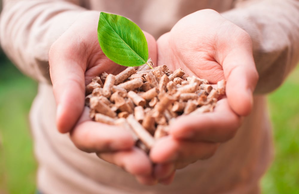 Hand mit Pellets vor Wiesenhintergrund