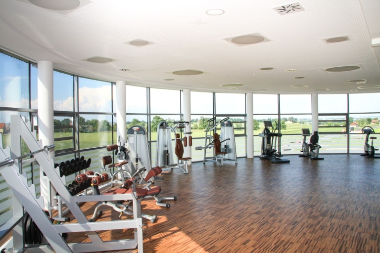 Hargassner Fitnessstudio 2010