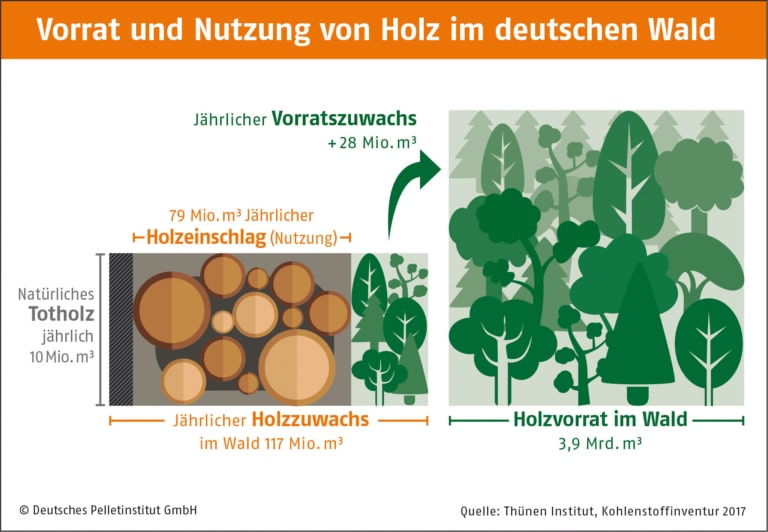 Grafik Vorrat und Nutzung von Holz Deutsches Pelletinstitut | Hargassner