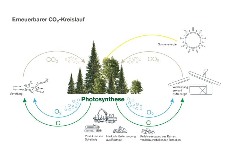 Der erneuerbare CO2-Kreislauf als Infografik | Biomasse | Hargassner