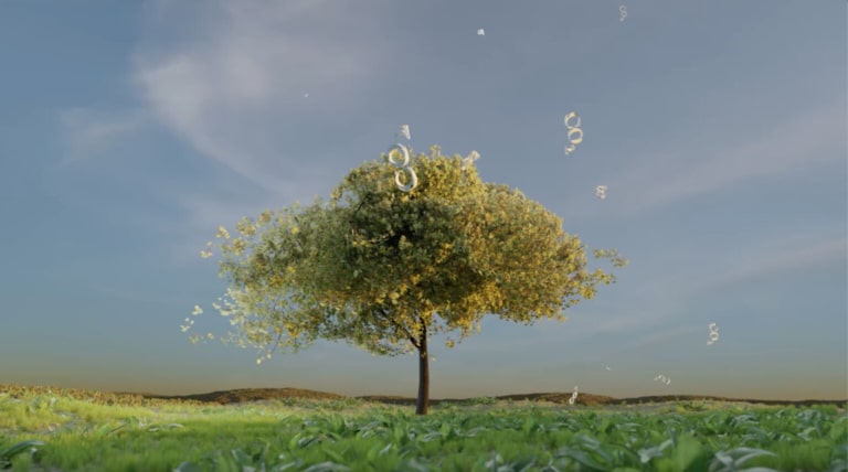 Darstellung Baum nimmt CO2 auf | Mit dem Wald gegen die Klimakrise