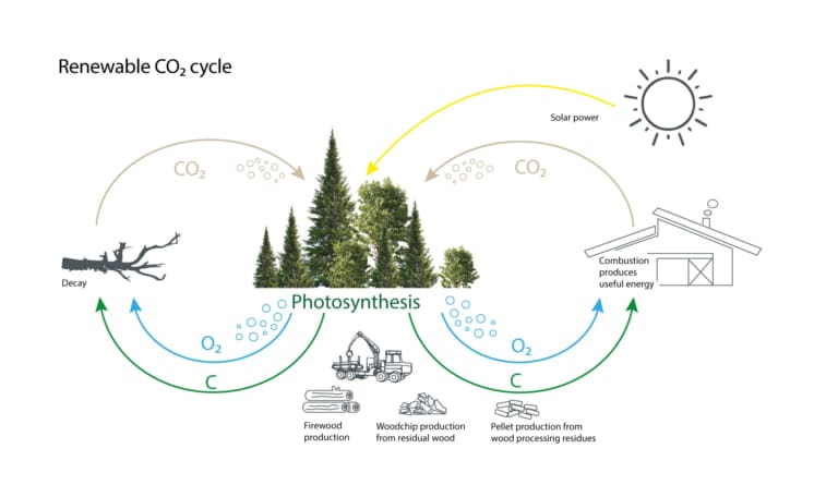 Renewable CO2 Cycle educational illustration | Biomass the perfect choice