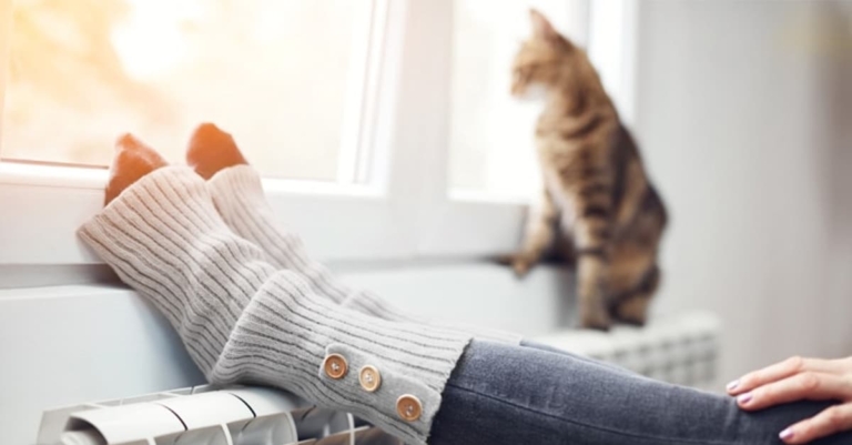 Cat sitting at the window on a heater | Hargassner