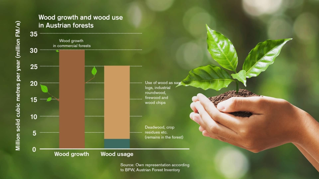 Infograph displaying the wood groth and use in Austrian Forests | Hargassner