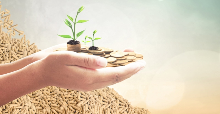 Mano con monedas, pellets | promoción para su sistema de calefacción de pellets