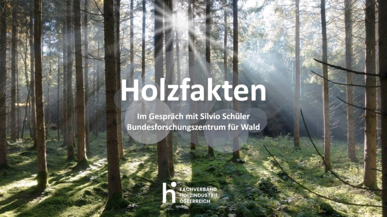 Youtube thumbnail wie entwickelt sich der Wald? Der Status quo in Österreich – ein Interview | Hargassner