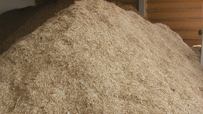 Heating material elephant grass | Hargassner