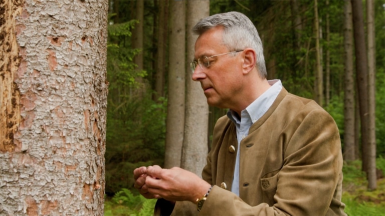 Professor Dr. Hubert Röder untersucht einen Baum | Hargassner