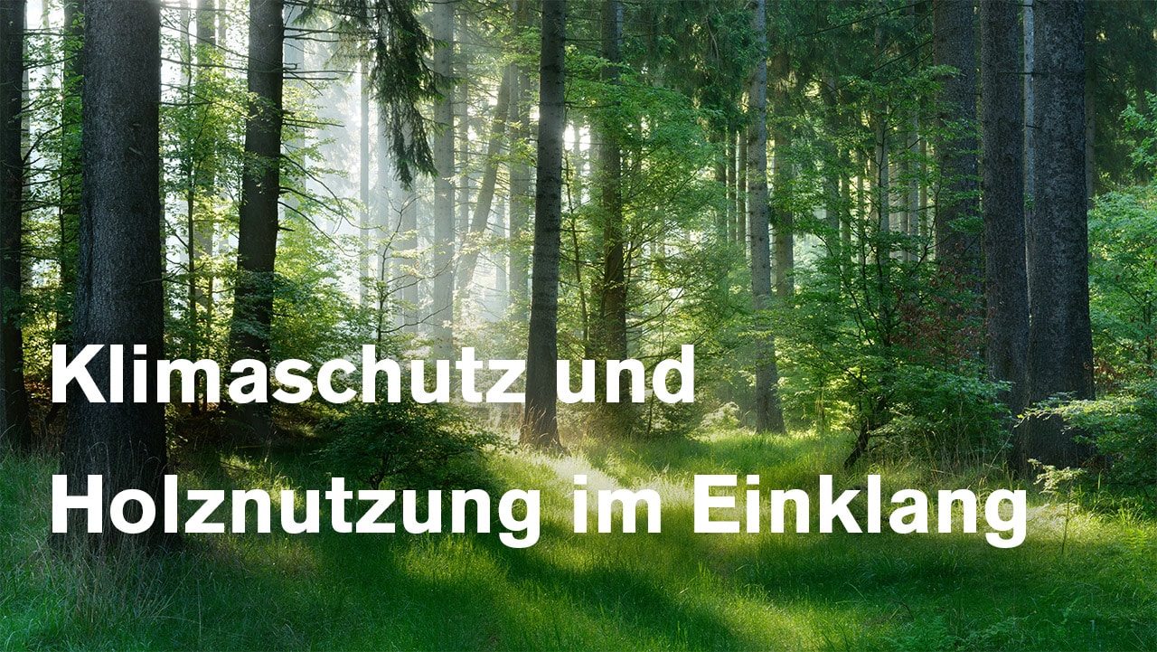 Klimaschutz Holznutzung im Einklang Video Thumbnail | Hargassner