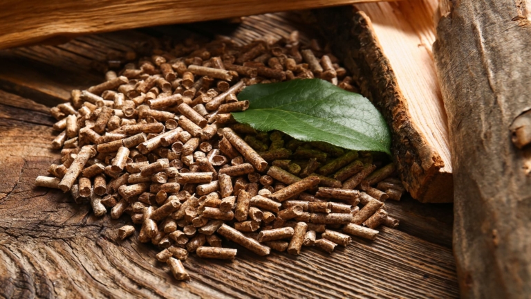 Scheitholz und Pellets für kombinierten Heizerfolg | Kombikessel Hargassner