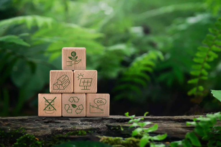 Wooden cube with symbols on a reclining tree in front of a forest background