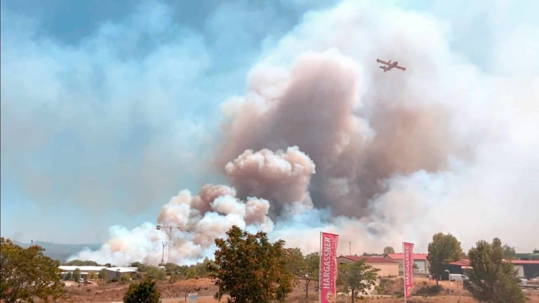 canadair avec incendie en fond et drapeau hargassner