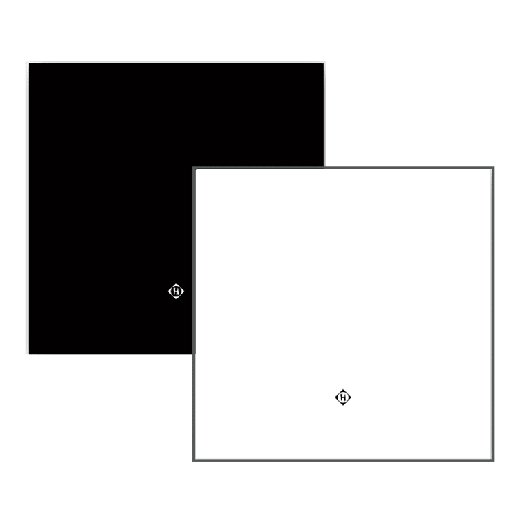Darstellung Raumsensor RS in Schwarz und Weiß | Hargassner