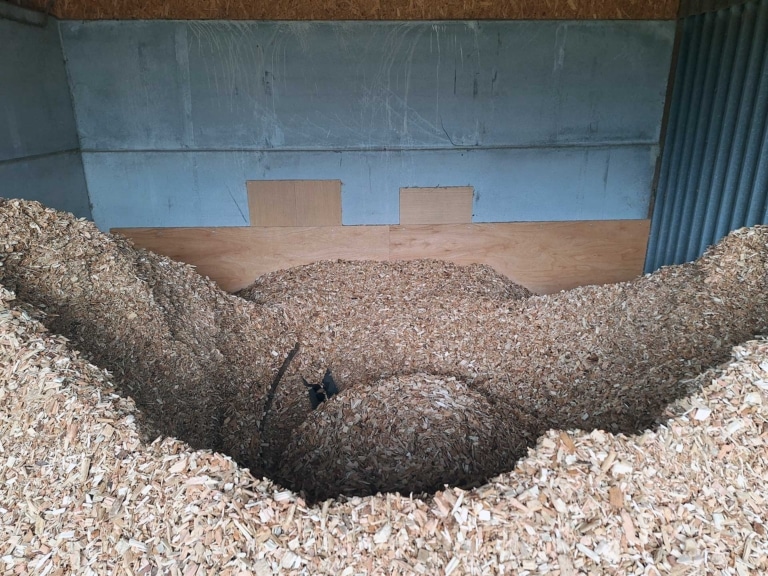 Wood chip extraction system Gloucestershire equestrian centre | Reference Hargassner UK
