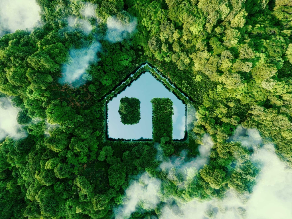 Bildmontage Haus in Wald | Hargassner