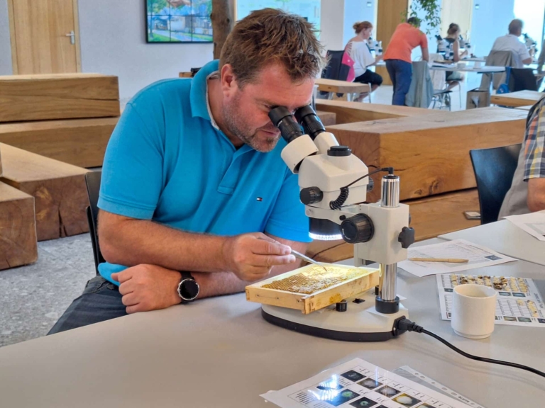 GF Markus Hargassner kontrolliert Bienen-Brutzellen (c) Bienenzuchtgruppe Oberösterreich-Salzburg
