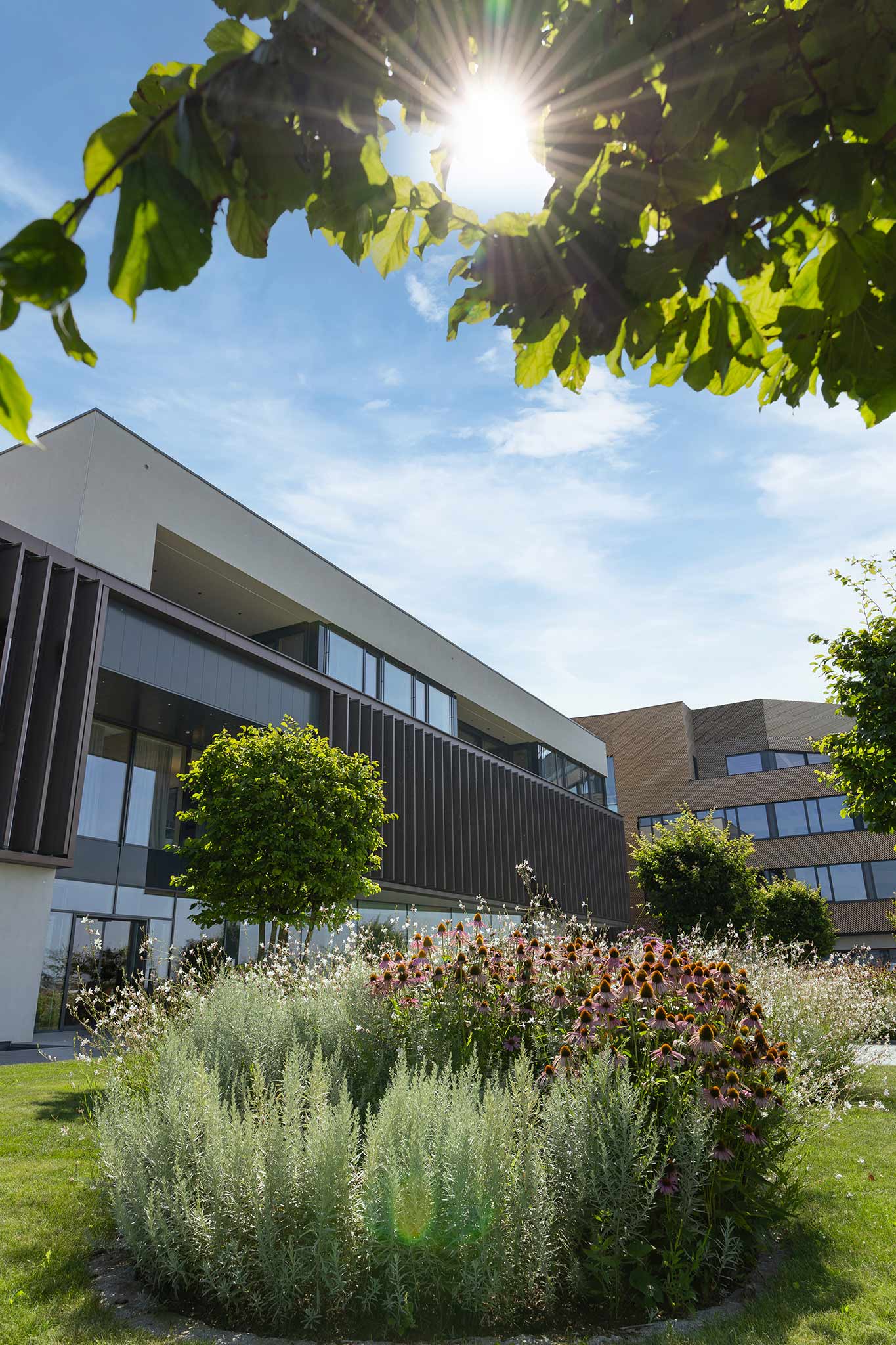 Außenansicht Firmengebäude Hargassner Energy World