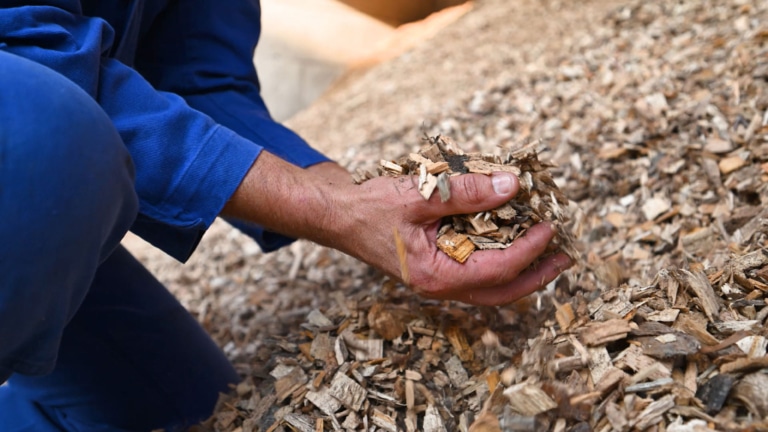 Hackgut als Brennstoff bei Landwirt Gradinger | Referenz Hargassner