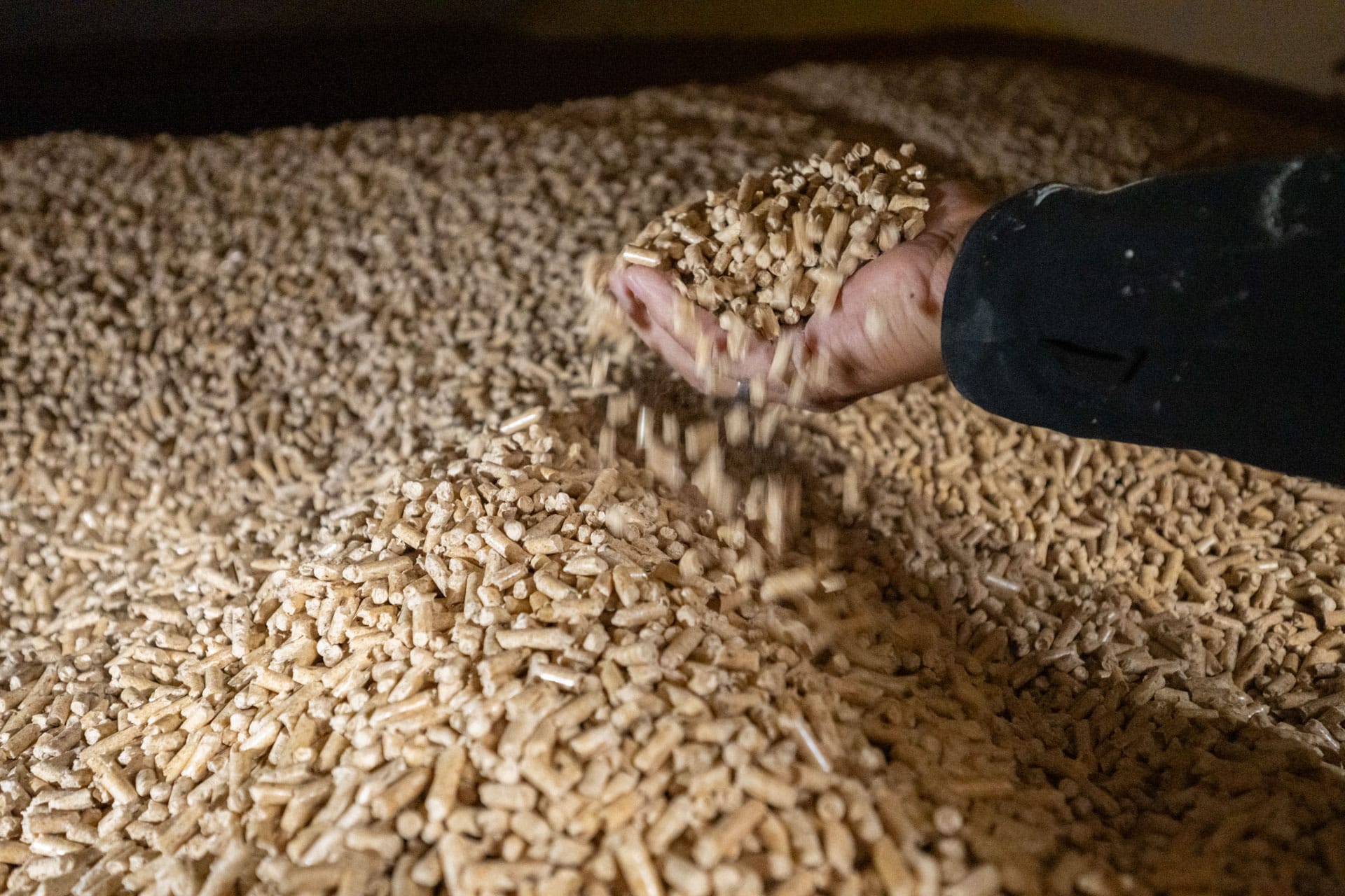 Hand mit Holzpellets im Pelletlager, Pfarre Stadt Haag | Referenz Hargassner