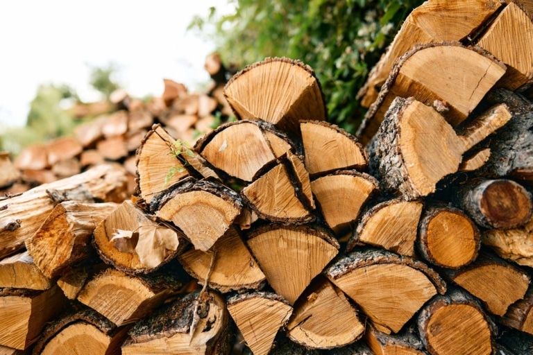 tas de buches de bois